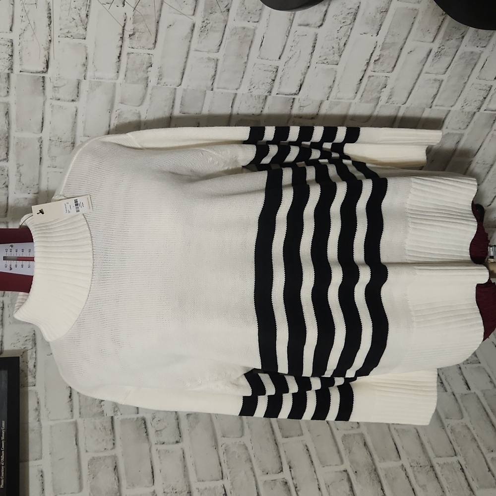 Francesca's Collections Cream/Black Stripe Turtleneck Sweater